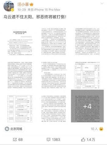 汪小菲晒出北京互联网法院判决书，10月29日微博更新引发热议  -图1