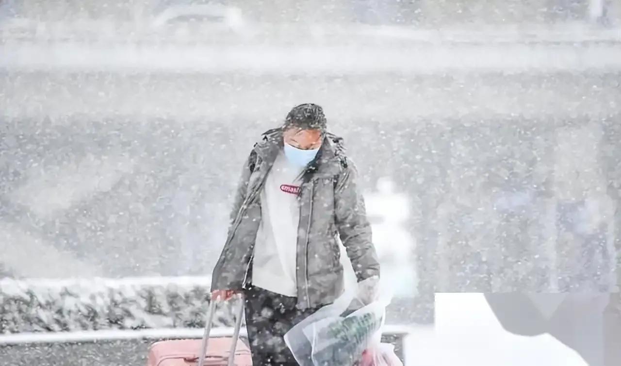 强冷空气、大范围雨雪来了！11月15~16日天气预报  -图4