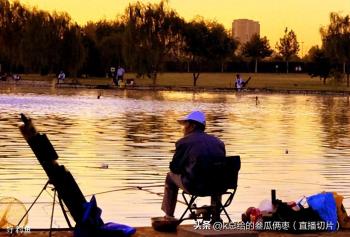 晚秋野钓奇景：晴天鱼口寥寥，阴雨天鱼获爆棚之谜  -图1