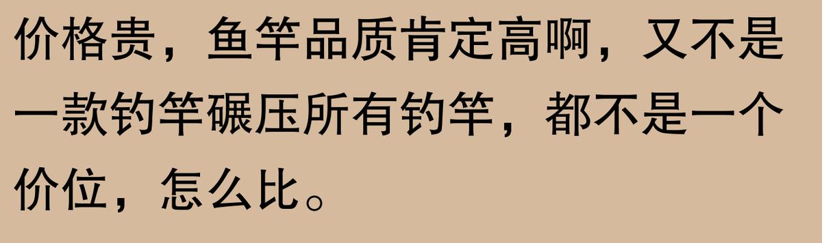 揭秘！钓鱼圈口碑炸裂的鱼竿TOP10，究竟哪根才是你的命定神竿？  -图18