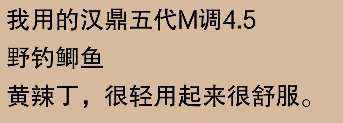 揭秘！钓鱼圈口碑炸裂的鱼竿TOP10，究竟哪根才是你的命定神竿？  -图22