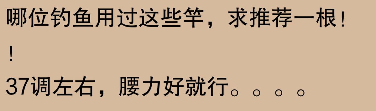 揭秘！钓鱼圈口碑炸裂的鱼竿TOP10，究竟哪根才是你的命定神竿？  -图29