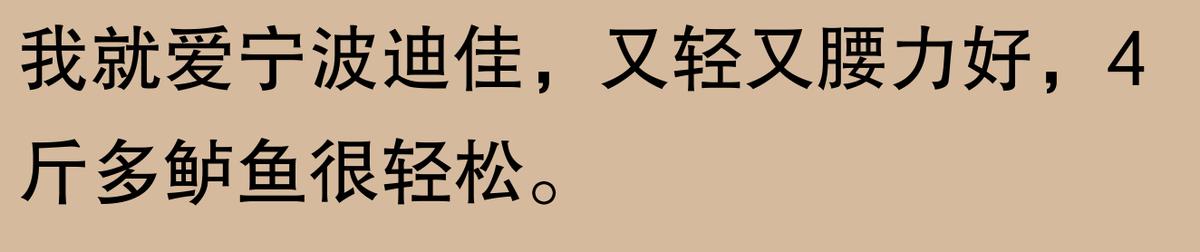 揭秘！钓鱼圈口碑炸裂的鱼竿TOP10，究竟哪根才是你的命定神竿？  -图31