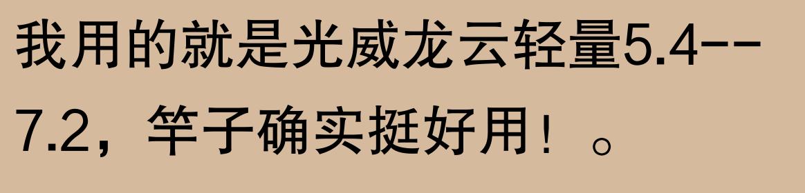 揭秘！钓鱼圈口碑炸裂的鱼竿TOP10，究竟哪根才是你的命定神竿？  -图35