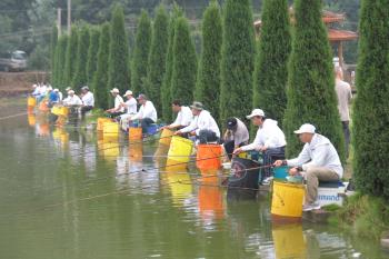 主流钓鱼小药有哪些？黑坑钓鱼的知名钓鱼小药  -图1