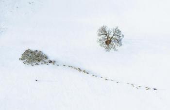 初冬新寒，有朋自暖！揭阳赤峰“鱼羊”上桌啦丨小雪·文化中国行  -图8