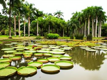 十大云南旅游必去景点  -图9