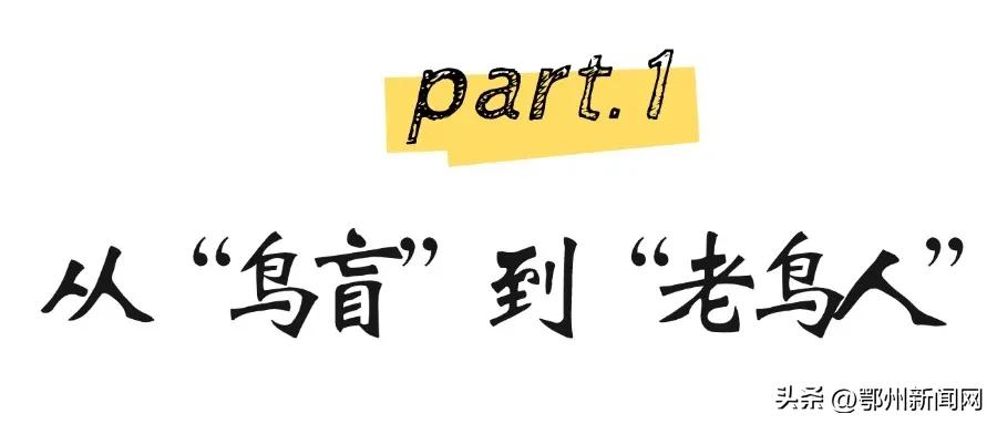 “90后”护鸟人救起180余只鸟儿重返蓝天  -图2