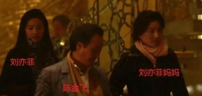 刘亦菲：妈妈两婚两离，65岁仍让人惊艳，背后三个“爹”也不简单  -图8